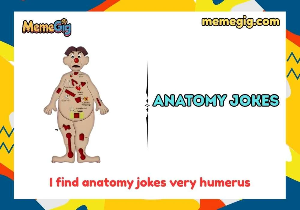 Anatomy Jokes