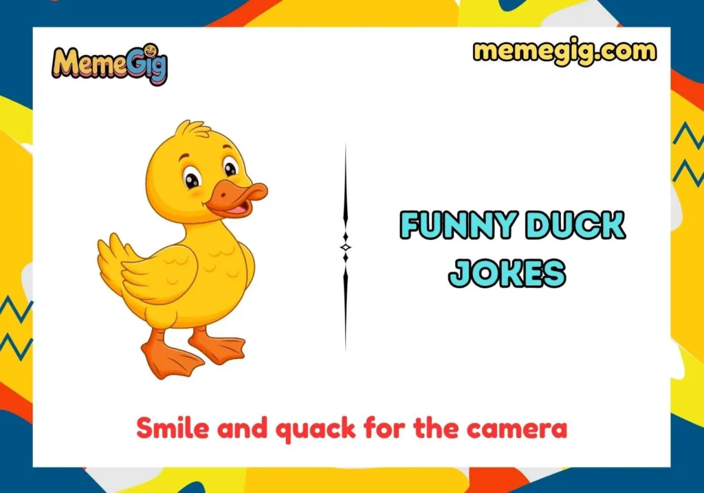 Clever Funny Duck Jokes 