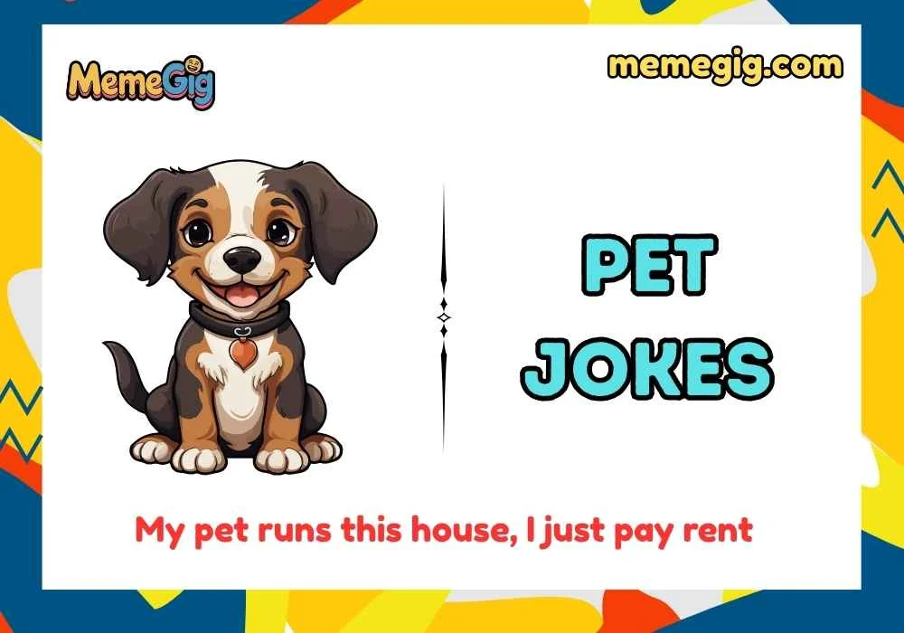 pet-jokes