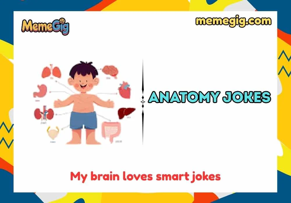 Quick & Short Anatomy Puns