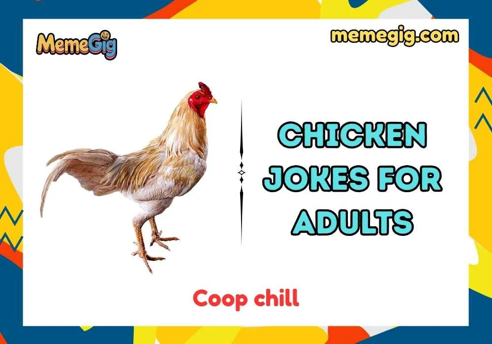 Quick & Short Chicken Jokes